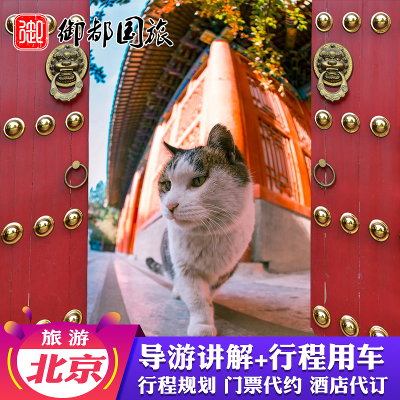 北京包车游+持证导游讲解