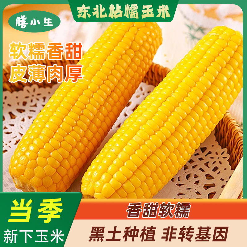 东北黄糯玉米棒真空装新货黄苞米现摘新鲜甜玉米粒粘粗粮代餐直发