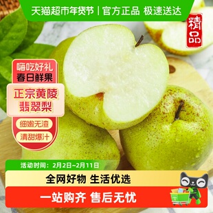 正宗黄陵翡翠梨新鲜应季时令生鲜