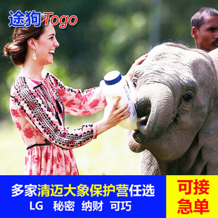 途狗 清迈大象营一日游LG可巧KC秘密纳财保护营漂流粘粘瀑布半日