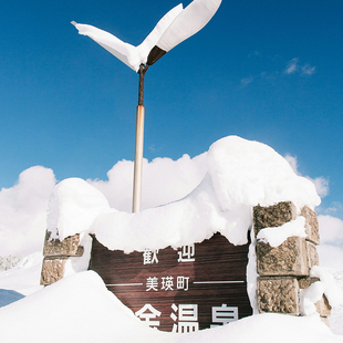 8人起私家团-7天6晚日本旅游东京+北海道富士山登别洞爷湖河口湖