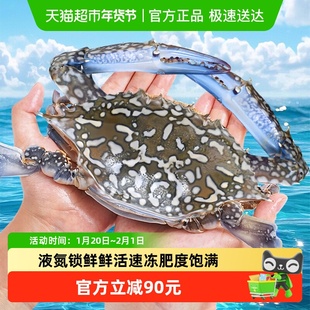 兰花蟹鲜活冷冻蓝花蟹花蟹海鲜兰花母蟹新鲜膏蟹梭子蟹
