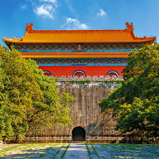 南京明孝陵2.5H资深文史大咖深度人工讲解 亲子讲解