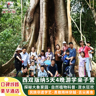 西双版纳5日亲子游 野象谷雨林牧象植物园自然科普基诺山雨林徒步