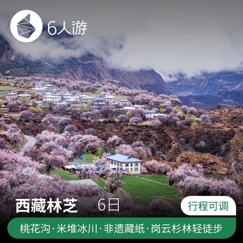 西藏林芝定制-波密桃花沟+雅鲁藏布江+米堆冰川+非遗藏纸体验6日