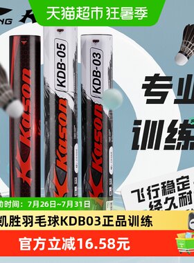 李宁凯胜羽毛球黑鸭毛训练耐打