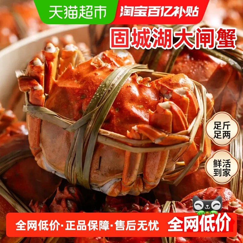 渔传播固城湖大闸蟹足重3.0全母螃蟹特大4.0公河蟹海鲜现货礼盒