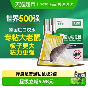 巴斯夫老鼠贴超强力厚粘鼠板抓大老鼠夹扑捉灭鼠胶沾家用捕鼠神器