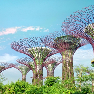 [新加坡滨海湾花园-云雾森林+擎天树]新加坡滨海湾花园双馆门票[当天可订|极速出票|