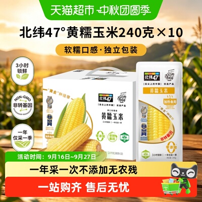 北纬47°黄糯玉米含纤维简单烹饪