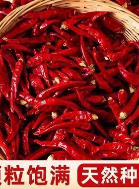 新干辣椒特辣特香自然风干小米香辣朝天椒超辣颗粒饱满辣椒