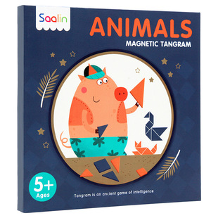 Pinwheel磁性七巧板智力拼图幼儿园专用磁力贴儿童益智玩具3到6岁