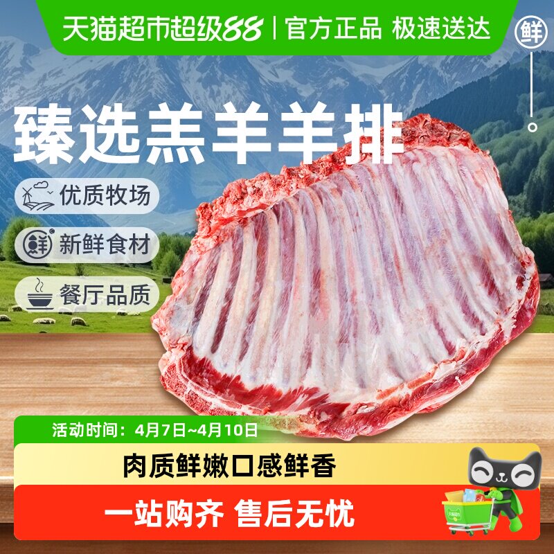 祁连天宝甘肃羔羊羊排原切新鲜羊肉羊肋排烤羊排火锅烧烤食材