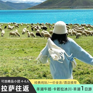 西藏拉萨羊卓雍措一日游羊湖半日游卡若拉冰川可选弥散供氧航空团