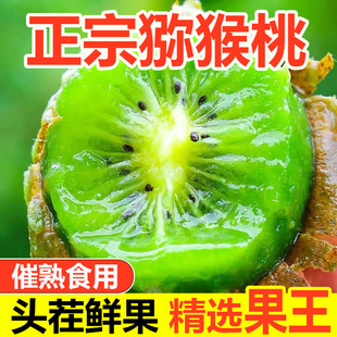 水果現摘泥彌核桃整箱批非陜西徐香 綠心獼猴桃奇異果正宗新鮮應季