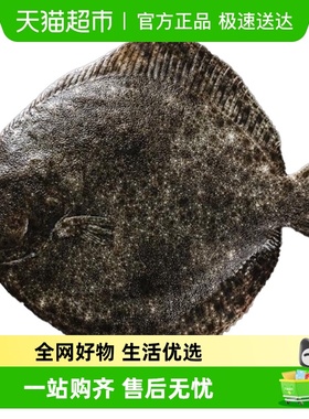 渔传播【冰鲜发货】鲜活三去大连多宝鱼  活鱼现杀海鲜顺丰次日达