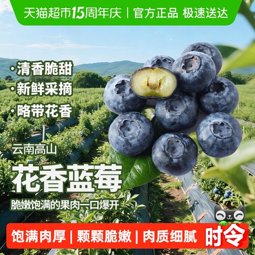 米乐果云南花香蓝莓新鲜水果精选