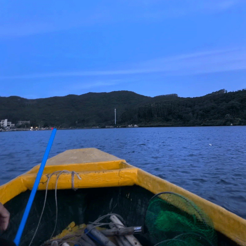 【户外体验】万宁神州半岛赶海｜体验海岛赶海乐趣