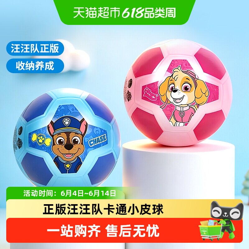 汪汪队小皮球儿童篮球幼儿园专用2号世界杯足球男女孩生日礼物