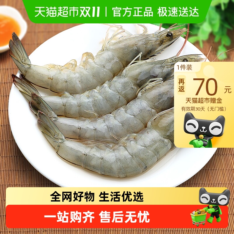 北海湾无冰新鲜冷冻白虾