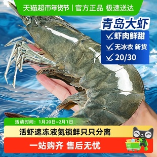 大虾超大基围虾特大青虾冷冻青岛鲜对虾速冻海虾虾类海鲜水产