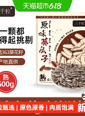 三千粒内蒙古363型号袋装原味大瓜子休闲坚果小零食500g