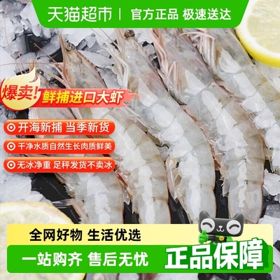渔游记南美白对虾
