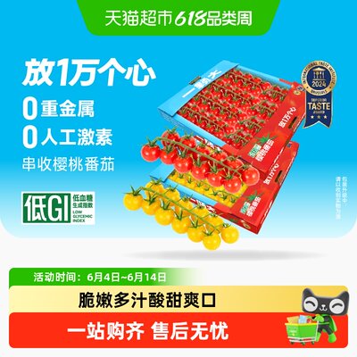 一颗大串收樱桃番茄酸甜多汁