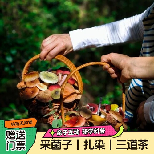 大理蝴蝶泉采菌子+扎染+三道茶体验+蝴蝶标本制作 赠送门票 亲子互动研学科普