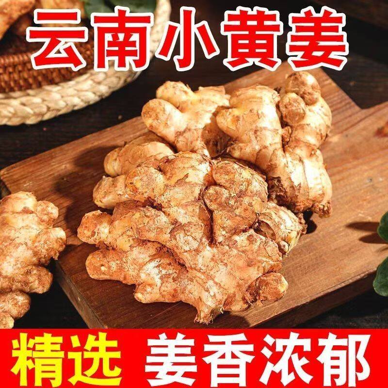 正宗云南小黄姜老姜批发自种农家月子姜整箱蔬菜生姜鲜姜小黄姜