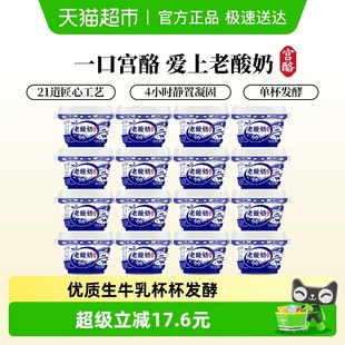 原味营养生牛乳酸牛奶 16杯装 伊利老酸奶碗装 风味酸乳138g