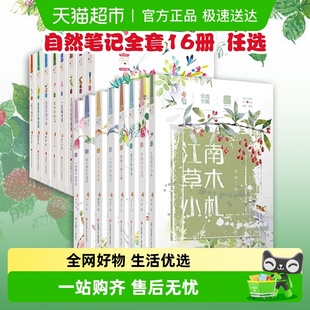 自然笔记全套16册第一辑 昆虫印象儿童文学 第二辑金波著美绘版