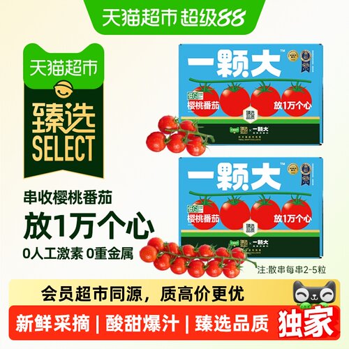猫超臻选一颗大樱桃番茄礼盒装