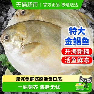 青岛金鲳鱼新鲜冷冻特大鲳鱼鲜活海鱼金昌鱼平鱼银鱼白鲳