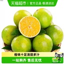 云南玉溪哀牢山冰糖橙时令现摘新鲜水果橙子绿皮橙顺丰 精选