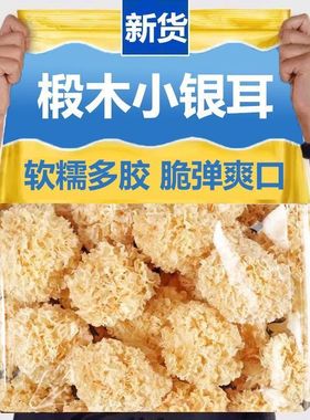 无硫椴木银耳干货非特级野生新小银耳雪耳正品古田糯银耳莲子羹