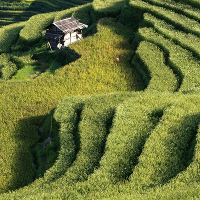 贵州旅游纯玩6天5晚私家团肇兴侗寨岜沙苗寨小七孔黄果树加榜梯田