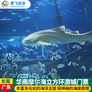 [东莞海立方环游城-大门票]东莞万江华南摩尔海立方环游城亲子票