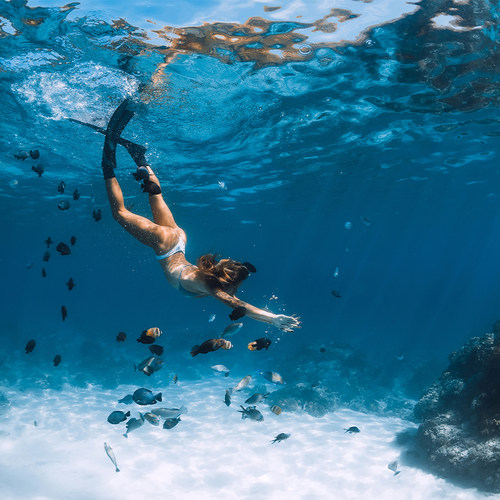 普吉岛皇帝岛各个船型深潜