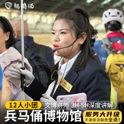 西安秦始皇兵马俑讲解/3-5h大咖导游/12人小团亲子研学小团深度游