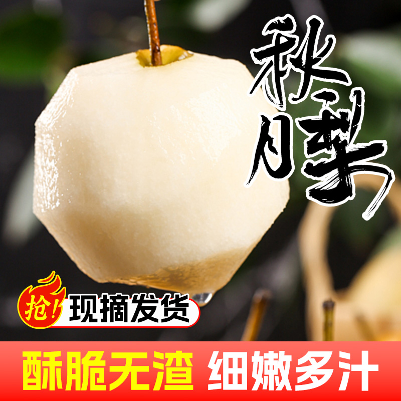 正宗秋月梨新鲜梨子水果当季整箱包邮4.5斤蜜梨冰糖雪梨产地直发