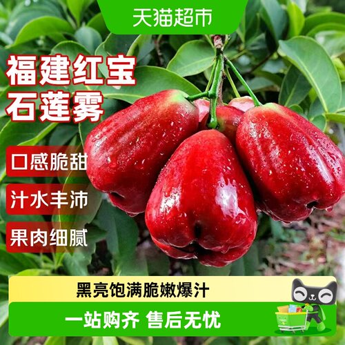 寻天果蔬海南黑金刚莲雾当季爆甜