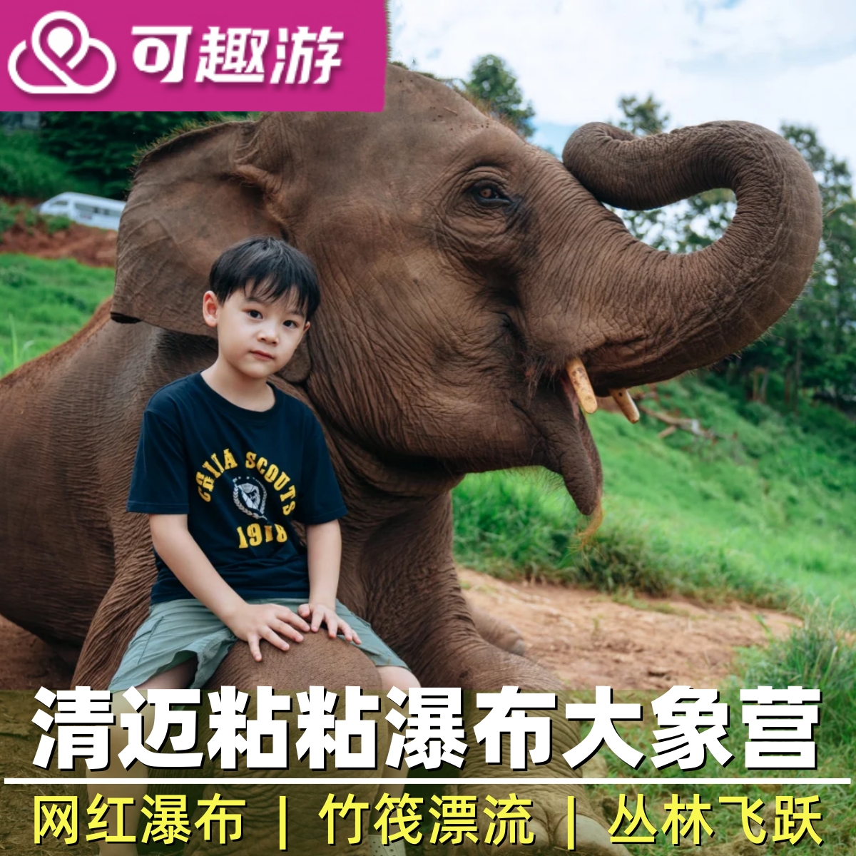 清迈大象园一日游