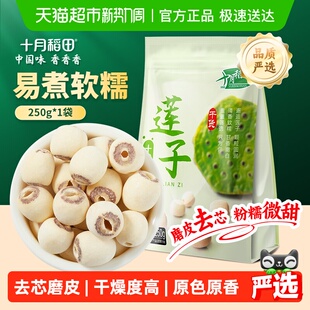 十月稻田莲子250g干货磨皮去芯莲子桂圆银耳百合红枣羹年货囤货
