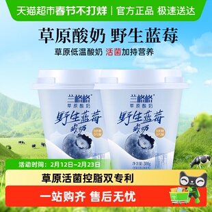 兰格格内蒙古无蔗糖蓝莓酸奶野生果肉丰盈含益生菌草原菌种早餐