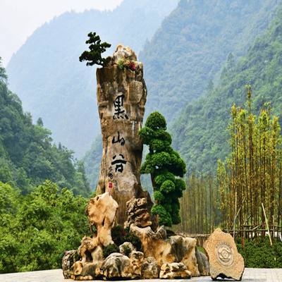 重庆万盛黑山谷一日游门票纯玩周边跟团游避暑圣地休闲一日游