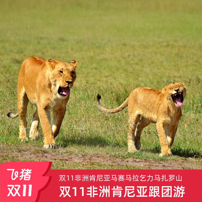精选航空:南方航空,可配全国联运 赠送一次丛林 safari 英式 Beer time 百人狂欢,赠送马赛马拉日落鸡尾酒、丛林晚餐、篝火晚会 2 晚埃尔门泰尔塔湖湖滨酒店+2 晚马赛马拉+2 晚安博塞利
