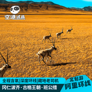 定制旅行 西藏阿里大北线13天冈仁波齐珠峰古格王朝阿里大环线