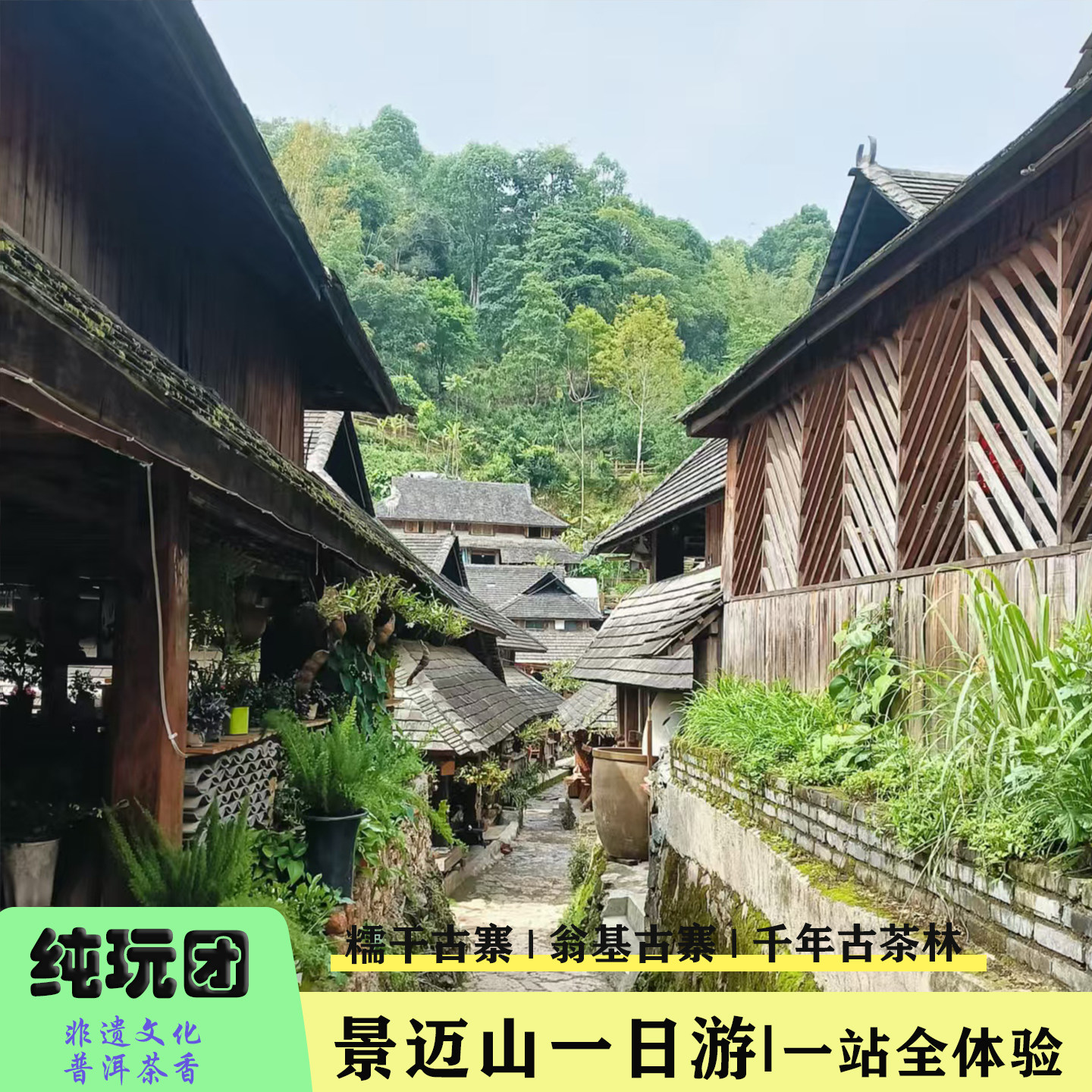 可选普洱/版纳  云南普洱景迈山古茶林+糯干古寨+翁基古寨一日游