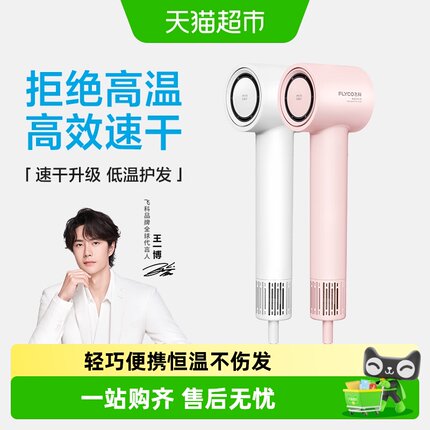 飞科高速吹风机家用负离子护发速干大风力电吹风筒FH6370